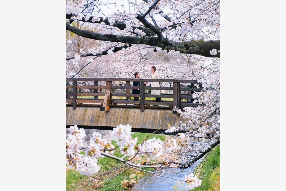 佐藤泰輔写真事務所が撮影した写真のアルバム「Travel Photo Session」