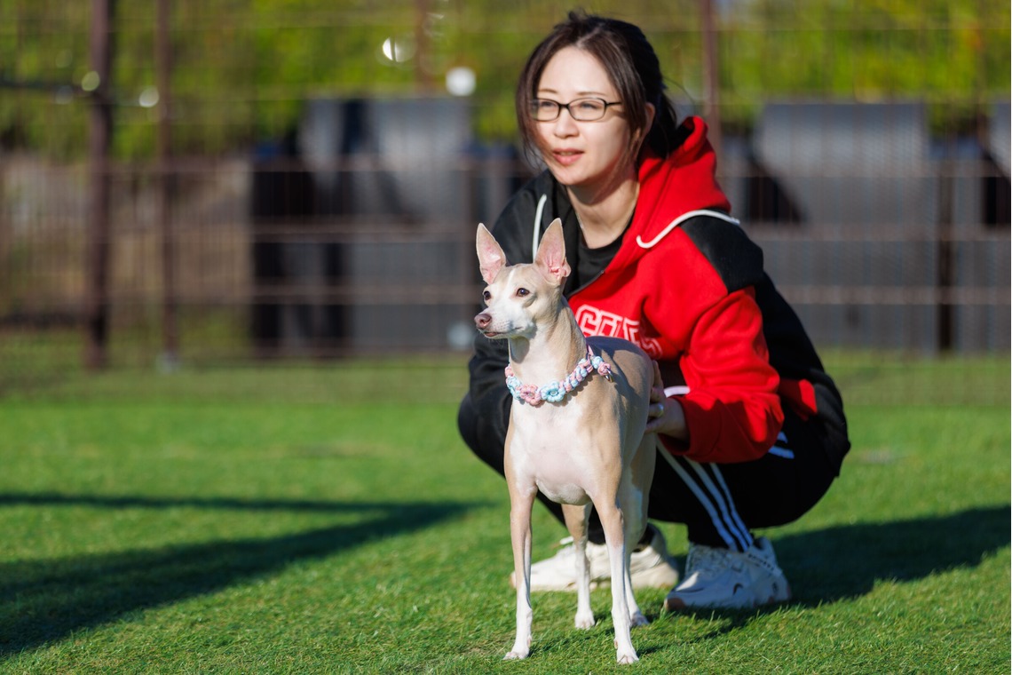 T.Matsumuraが撮影した「ペット」の写真