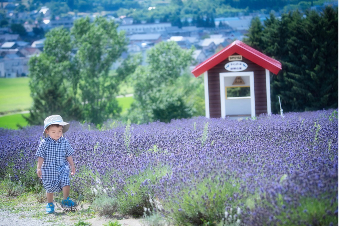 北海道ロケーションフォトウェディング♪が撮影した写真のアルバム「富良野ラベンダー畑でファミリー旅行記念撮影」