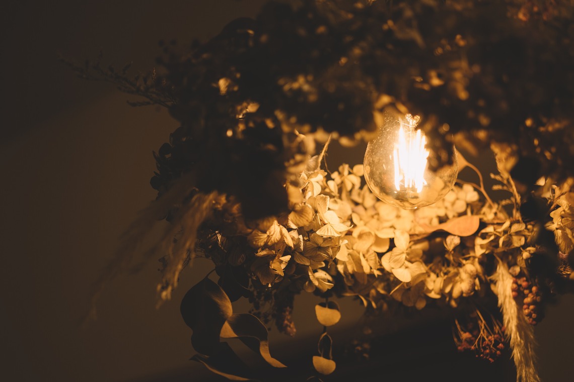 スタジオトモロが撮影した「サロン」の写真