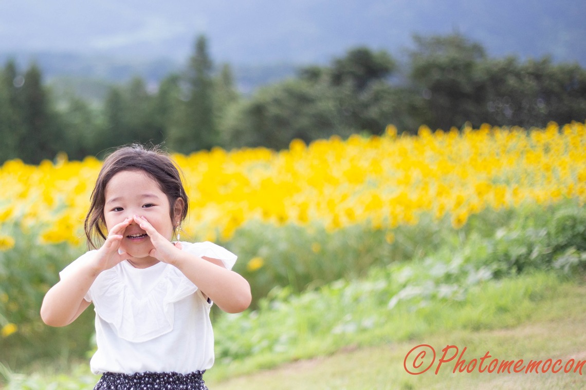 Photo of  taken by Photomemocon