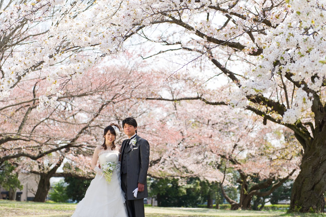 Bel eclat（ベルエクラ）が撮影した写真のアルバム「桜ロケーション」