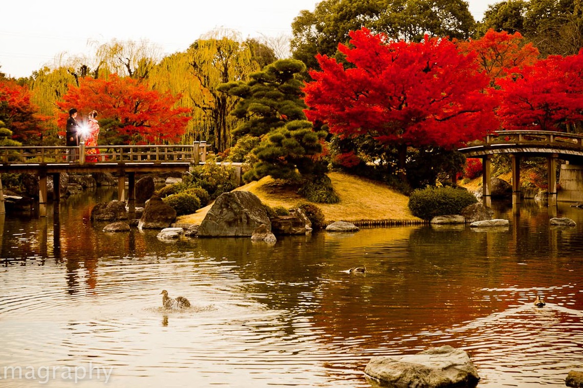 シキラマ グラフィーが撮影した「和装・紅葉」の写真