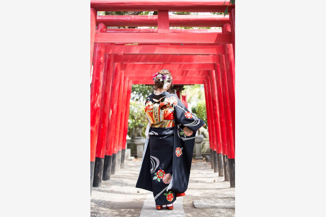 汐音が撮影した「「桜が舞い散る季節」」の写真