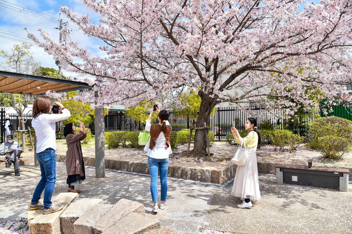 Bus Driver Photo NAKAMOTOが撮影した写真のアルバム「イベント撮影_スマホ講座」