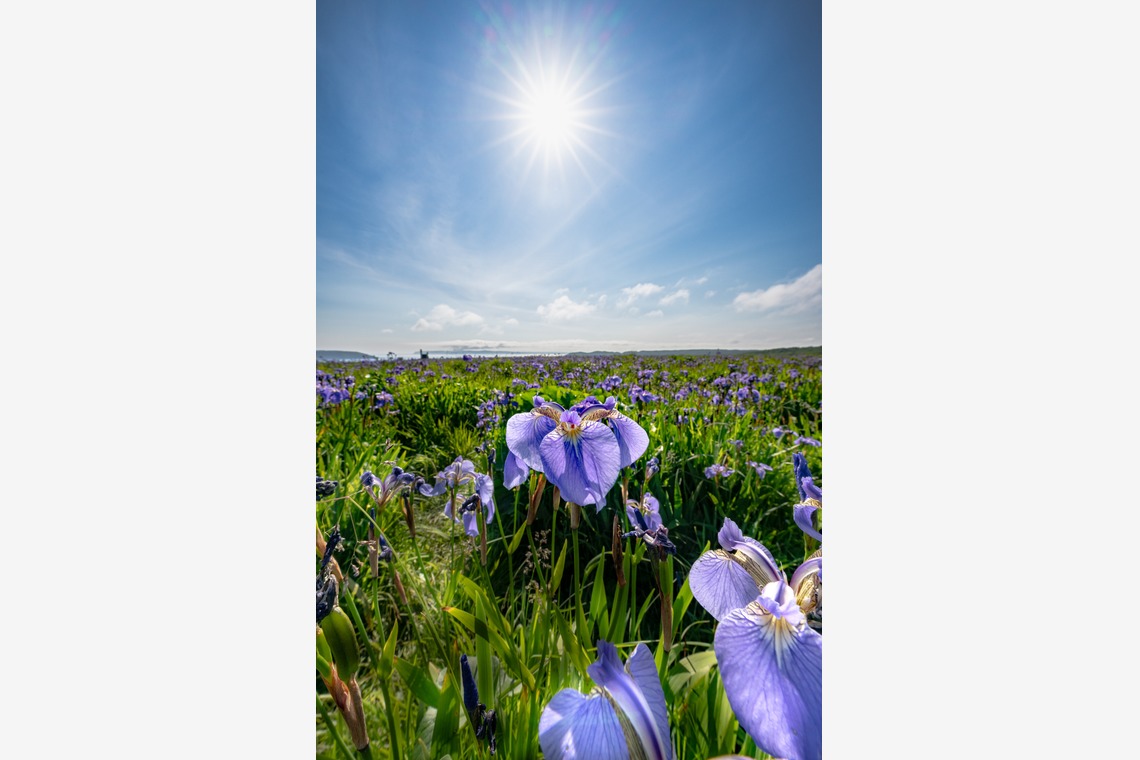 高木勇斗が撮影した「風景」の写真