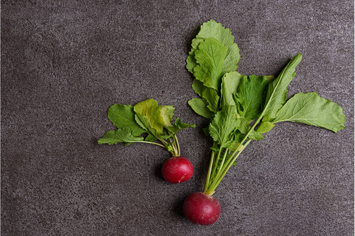 Studio&Gallery Analog　佐伯写真館が撮影した「物撮り、ECサイト」の写真