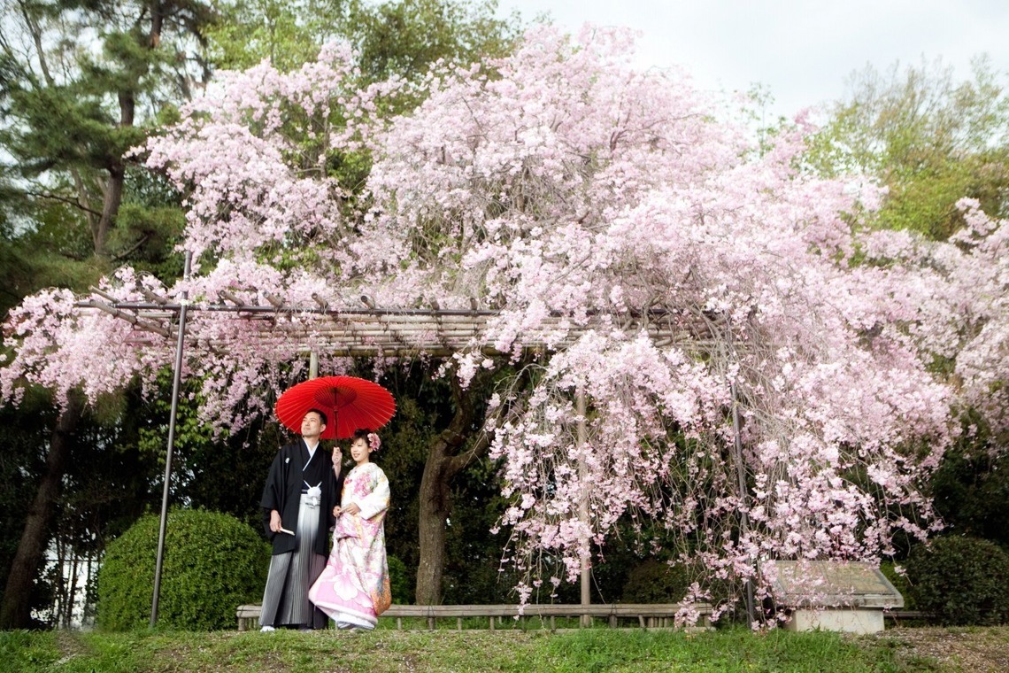 アトリエカーシャが撮影した「京都の桜＆和装ロケ」の写真