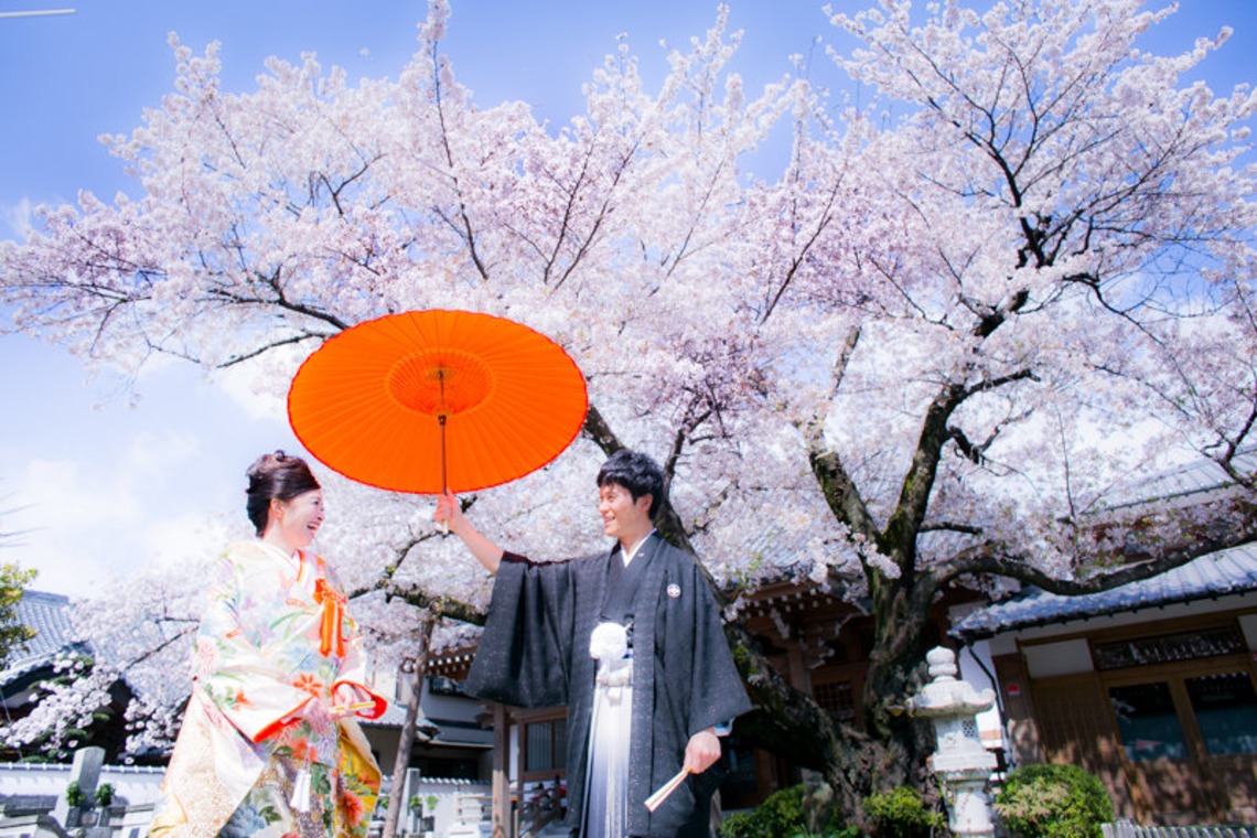 阿部写真館　大阪本町 靭公園前が撮影した写真のアルバム「桜」