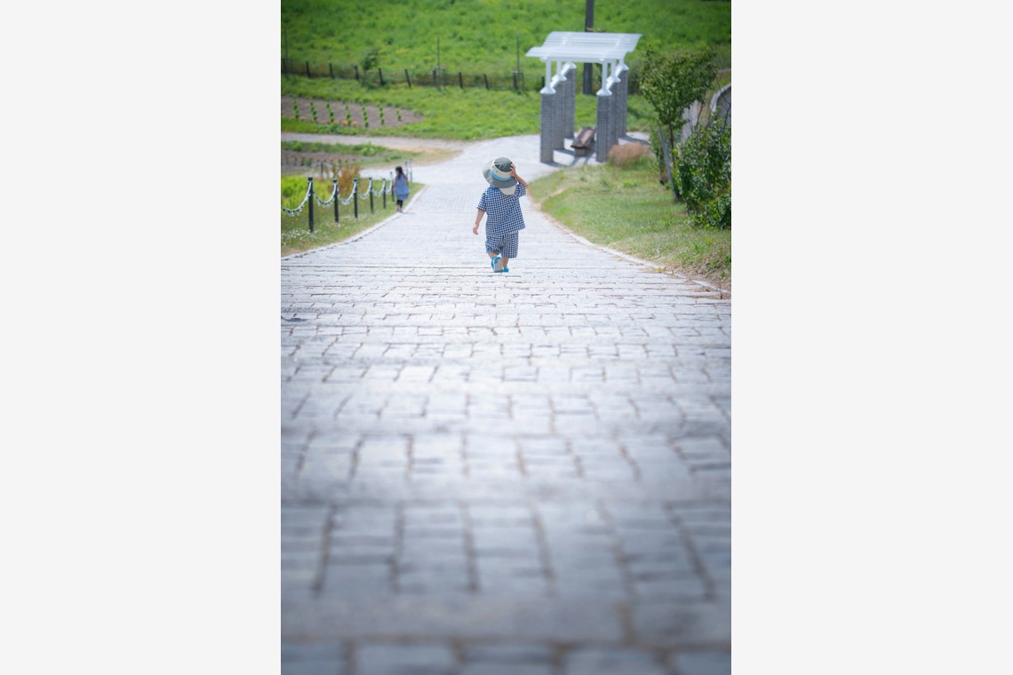 北海道ロケーションフォトウェディング♪が撮影した写真のアルバム「富良野ラベンダー畑でファミリー旅行記念撮影」