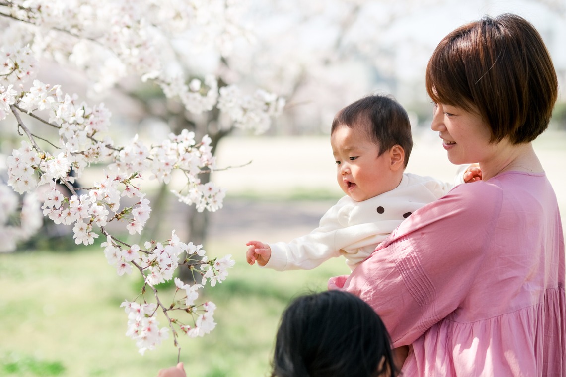 moufotoが撮影した「桜ファミリーフォト」の写真