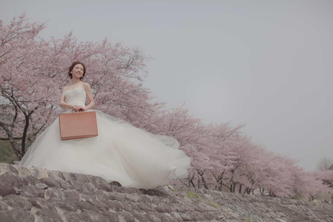  グラフィーズが撮影した写真のアルバム「桜」