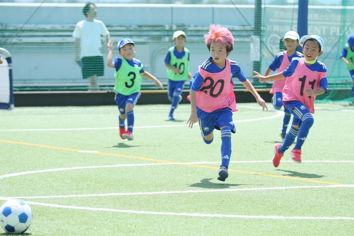 杉安写真事務所が撮影した写真のアルバム「スポーツ、試合、イベント、野外競技、室内競技」