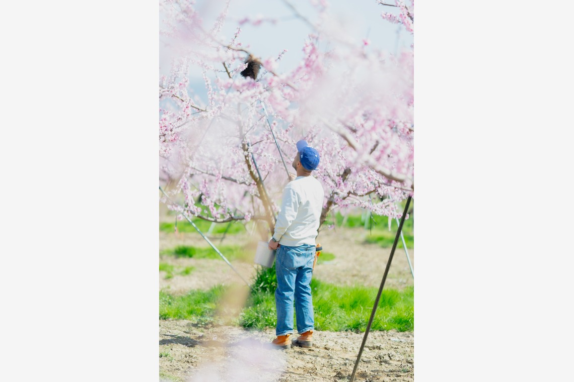 umimoyamamoworksが撮影した写真のアルバム「農家さん取材写真」