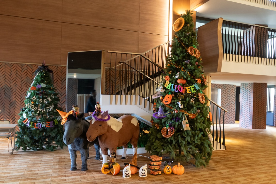 猫田晃広が撮影した「店舗、サロン、ホテル」の写真