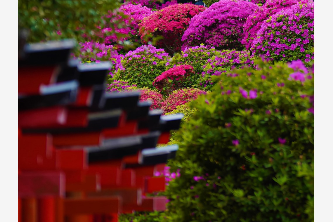 鈴木賢志が撮影した「四季折々の風景写真」の写真