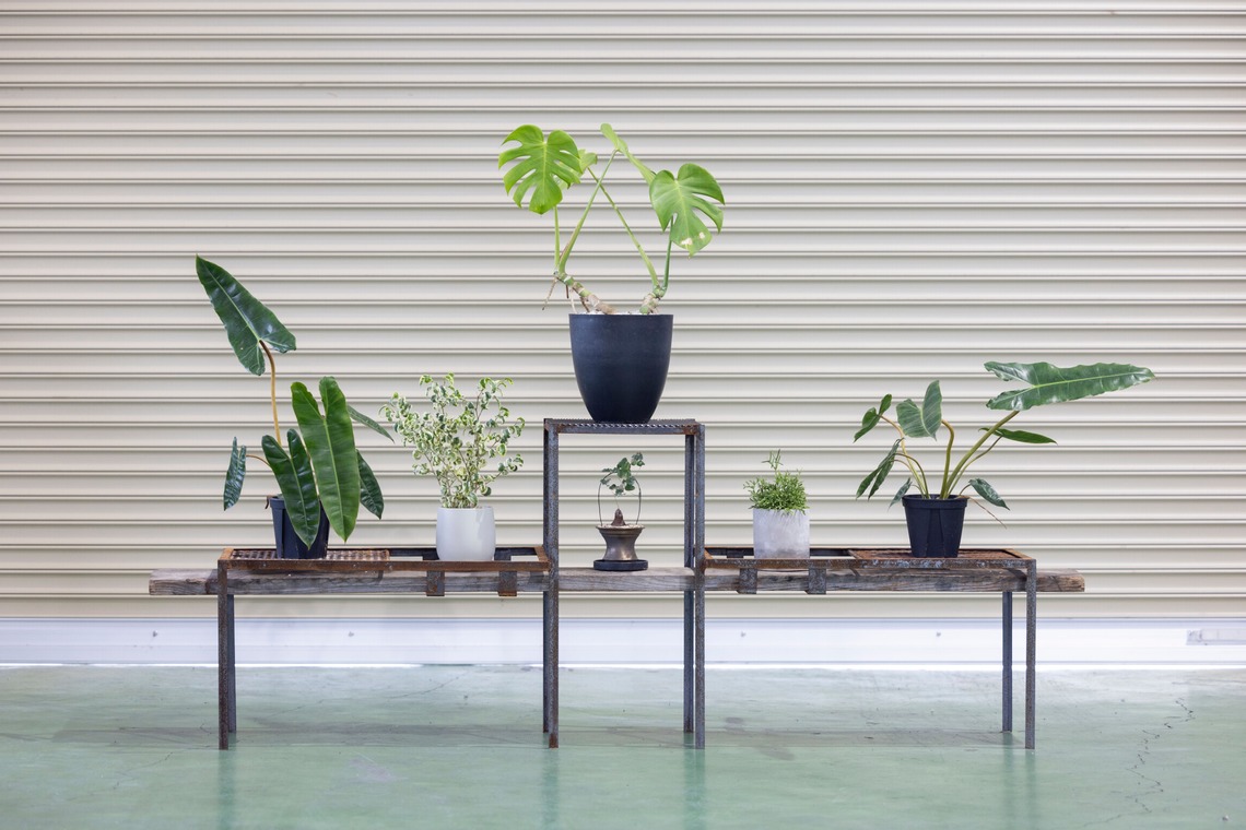 梅田　紫邑が撮影した「物撮り撮影」の写真