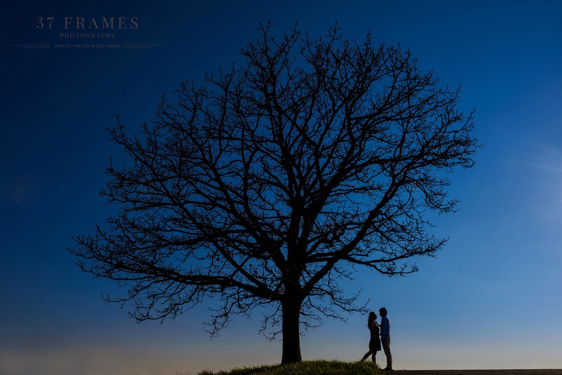 37 Frames Photographyが撮影した「フォトギャラリー」の写真