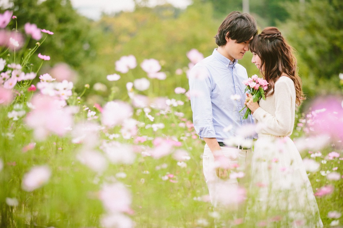 KISA photographyが撮影した写真のアルバム「コスモス畑撮影会」