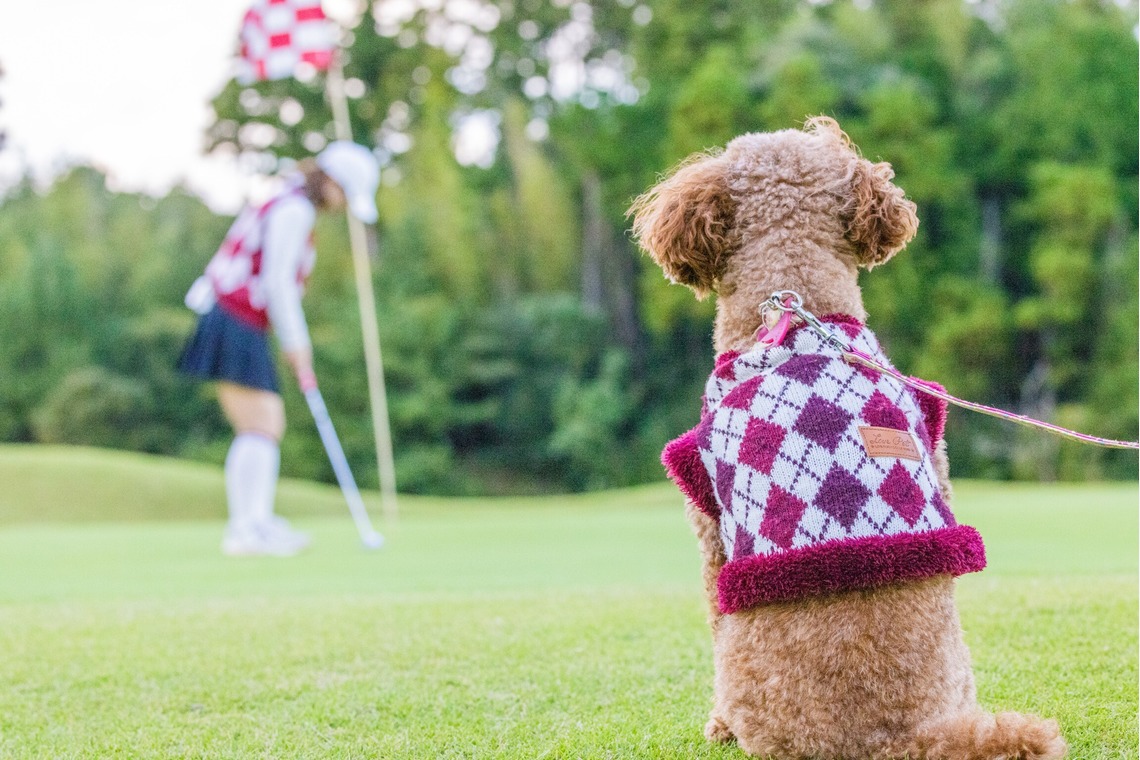 長竹　進吾が撮影した写真のアルバム「作例集」