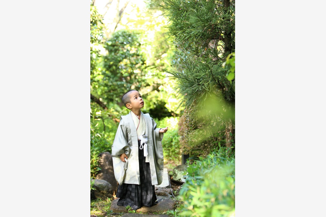 Photographer  Tomoが撮影した写真のアルバム「七五三祝い」