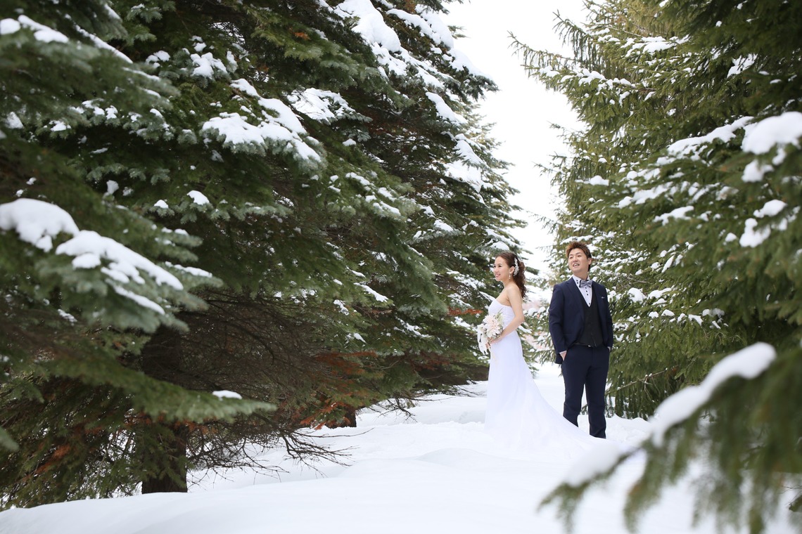 Sincere（サンシェール）が撮影した写真のアルバム「北海道／絶景フォトウエディング in 札幌」