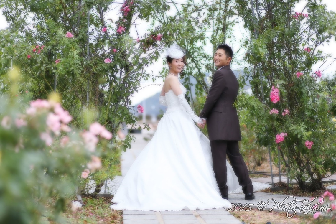 Album of the Wedding, Bridal taken by photo Takumi - 