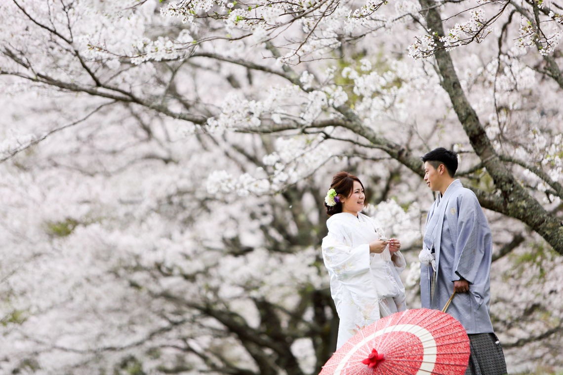 KIKIウェディングが撮影した「桜　桜　桜」の写真