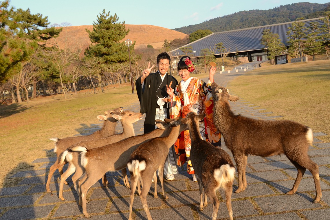 キキフォトワークスが撮影した「秋の奈良公園で和装前撮り」の写真