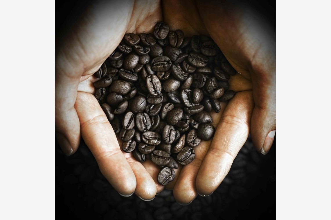 アオスタジオが撮影した「実績」の写真