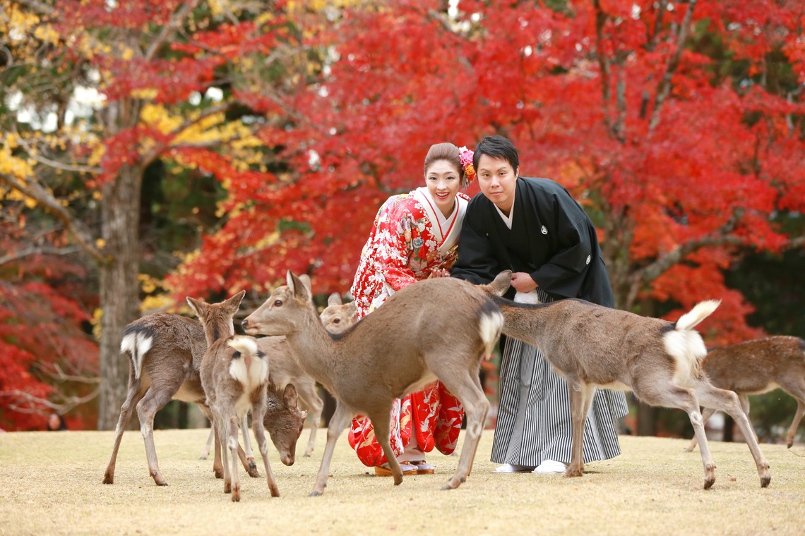 Hayashi Photo Worksが撮影した「奈良フォト」の写真