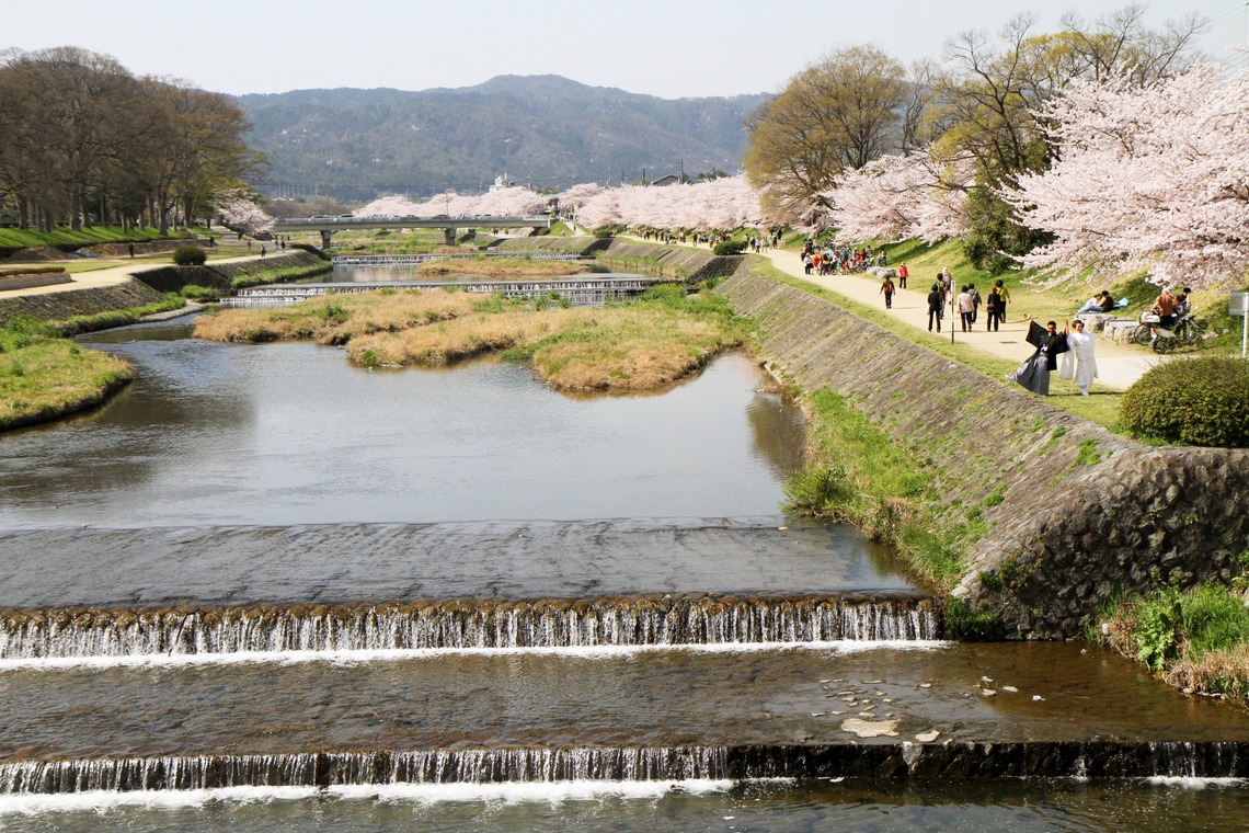スマイルハンターが撮影した「ウェディング前撮り和装」の写真