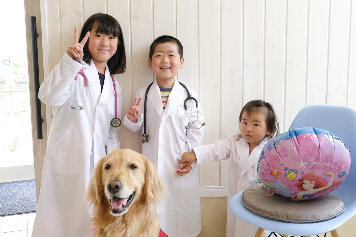 クマが撮影した写真のアルバム「ペット撮影」