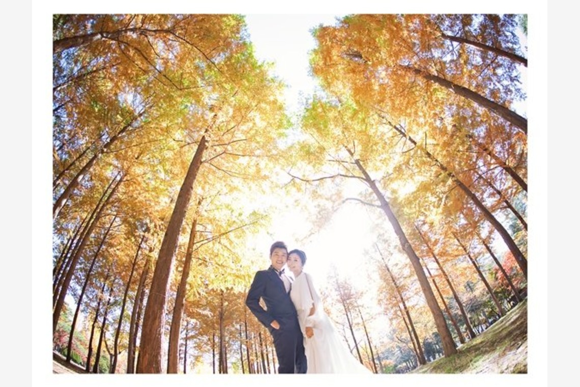 Wedding Howl (スタジオハウル)が撮影した「スナップ」の写真