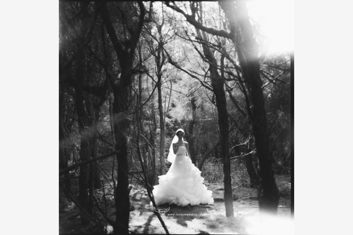 Trust photoが撮影した写真のアルバム「台湾のKentingの場所」