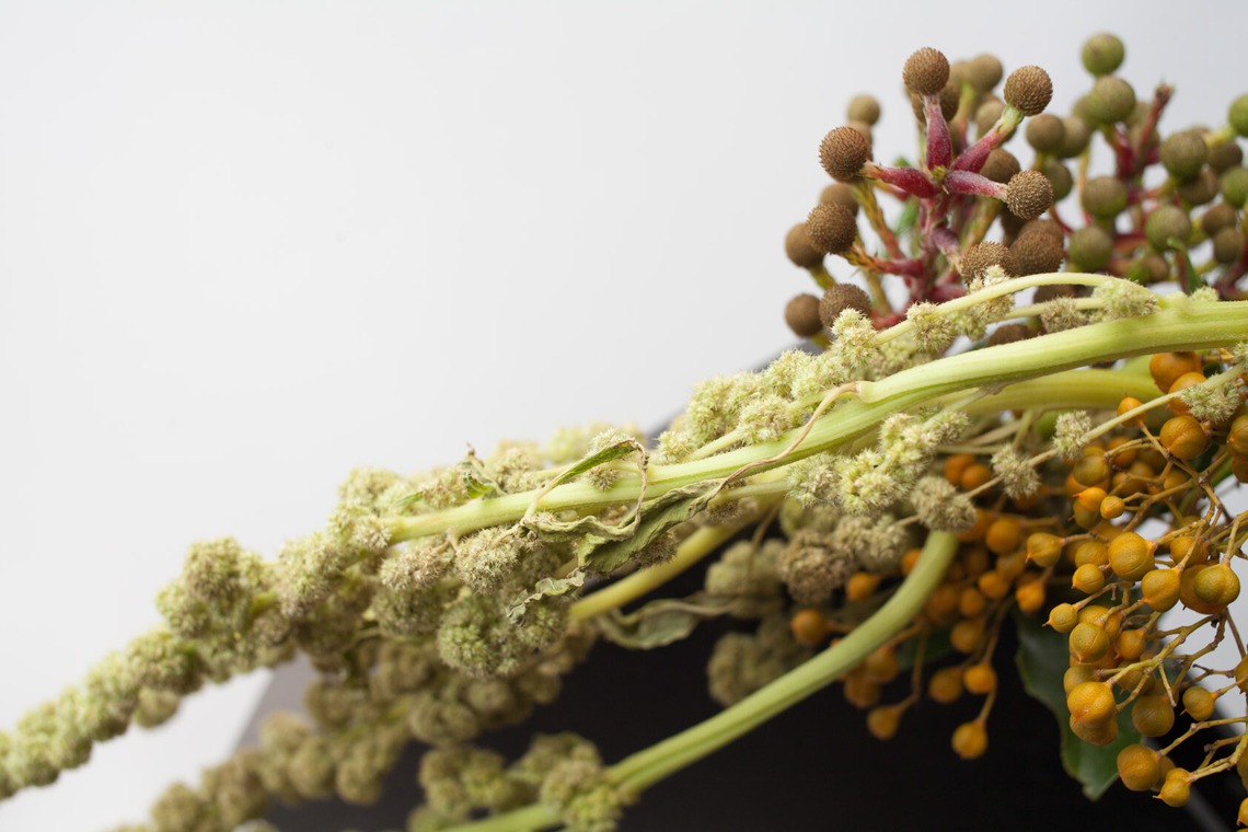 合同会社ENLIGHTENMENTが撮影した「スティル・ライフ」の写真