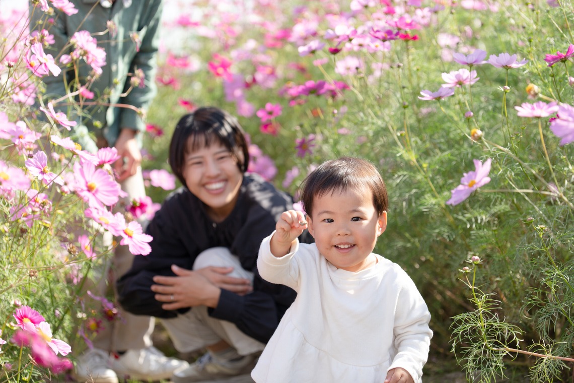 福永写真事務所が撮影した「家族写真（コスモス畑）」の写真