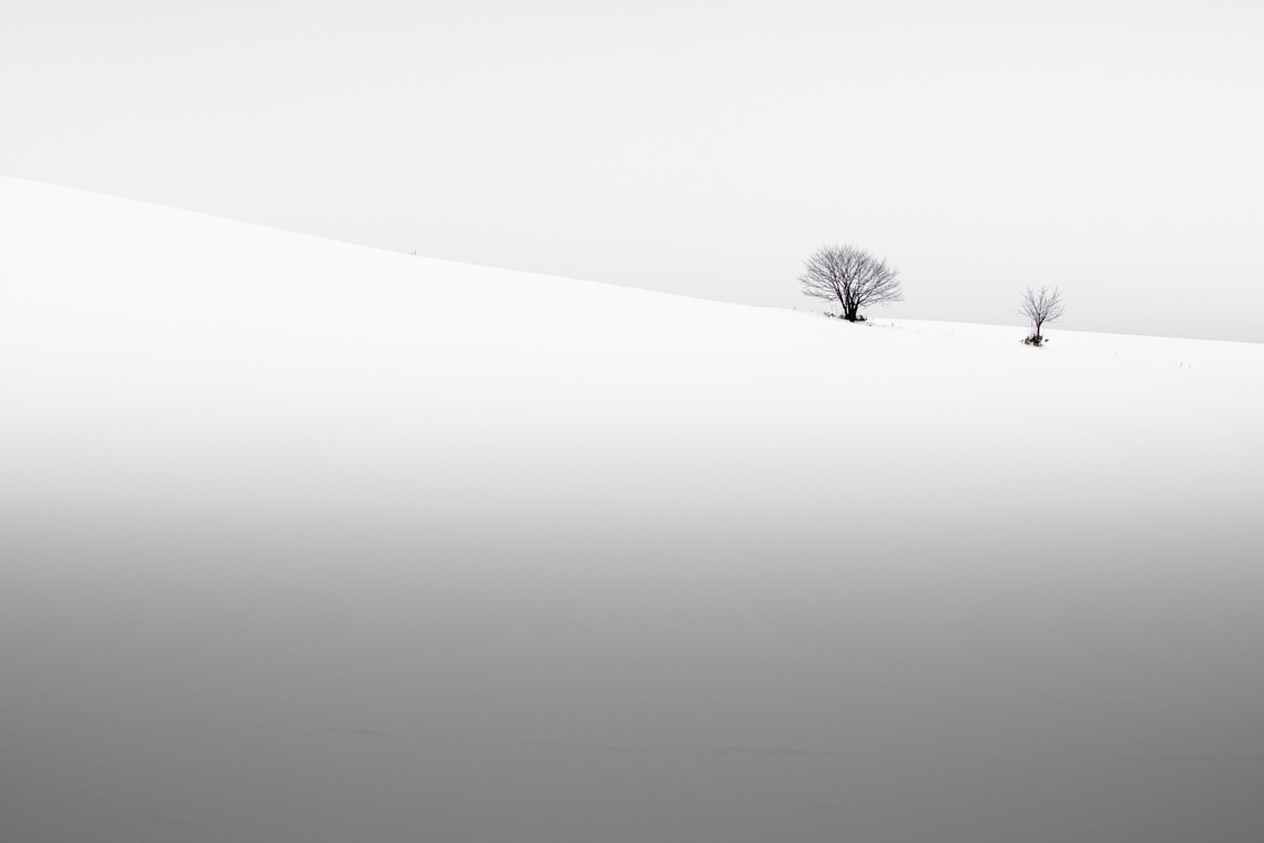 アンドCが撮影した「wabiSabi」の写真