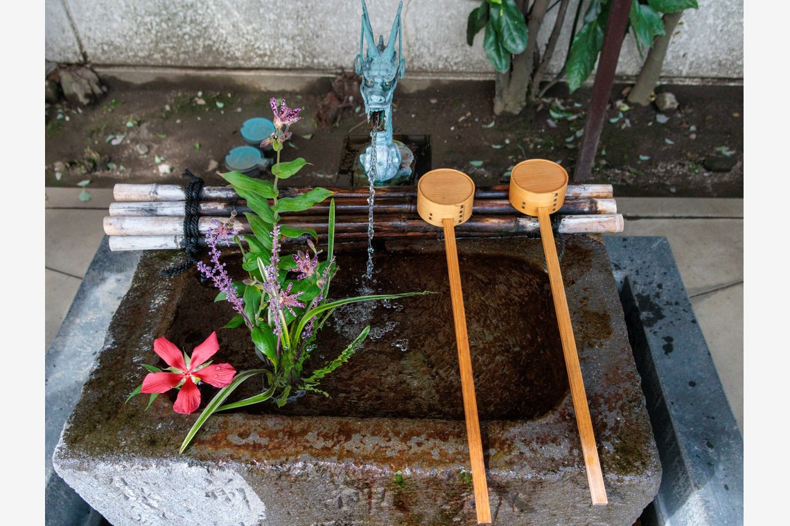 photobeehiveが撮影した「店舗・不動産・サロン・料理撮影」の写真