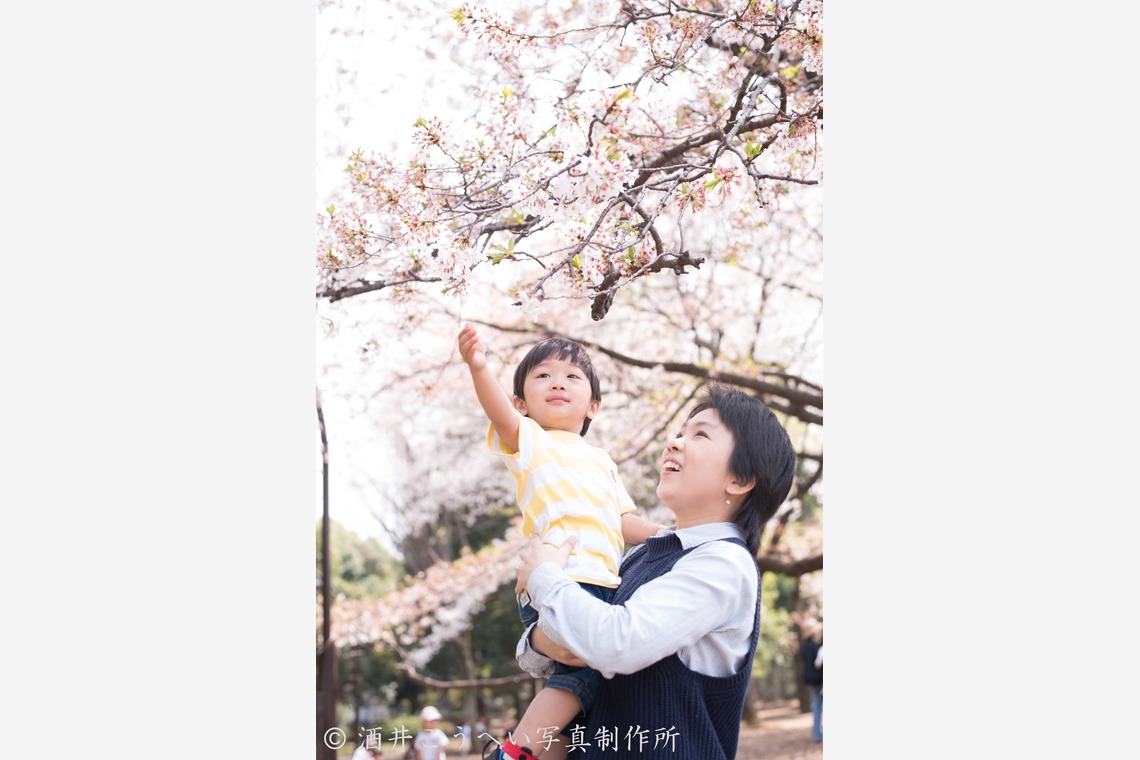酒井こうへい写真製作所が撮影した写真のアルバム「公園でファミリーフォト」