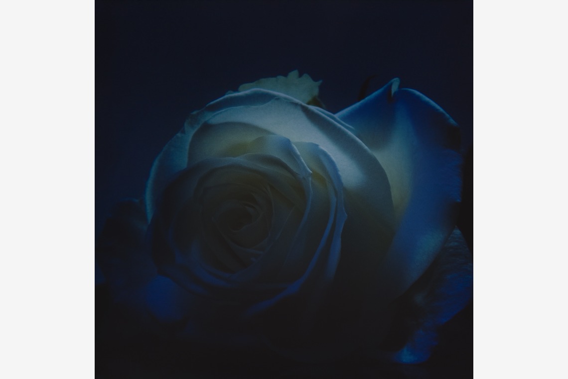 岡村公平が撮影した写真のアルバム「物撮り」