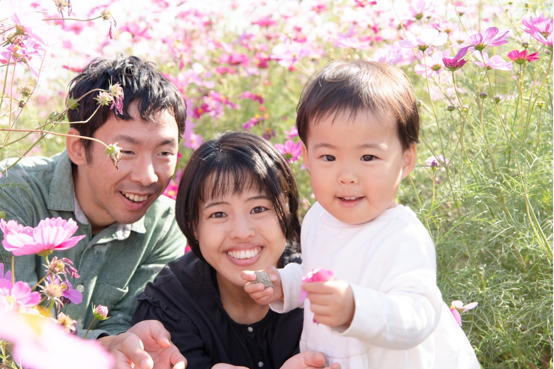 福永写真事務所が撮影した写真のアルバム「家族写真（コスモス畑）」