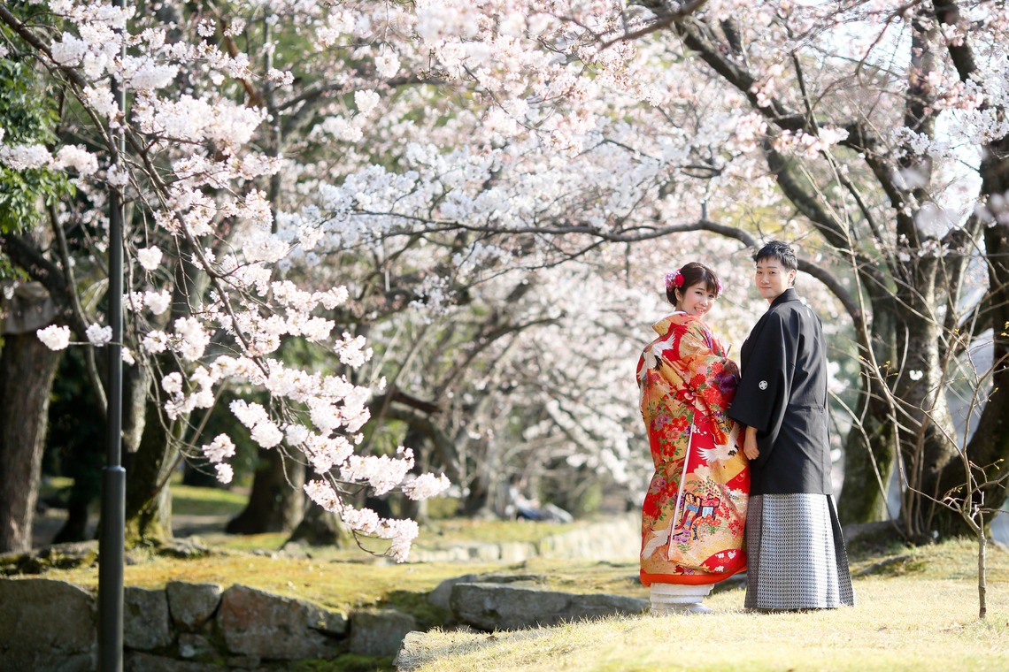 KIKIウェディングが撮影した写真のアルバム「桜と広島城」