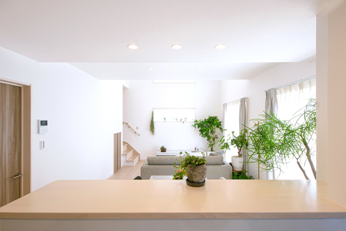 正太郎が撮影した写真のアルバム「建築写真」