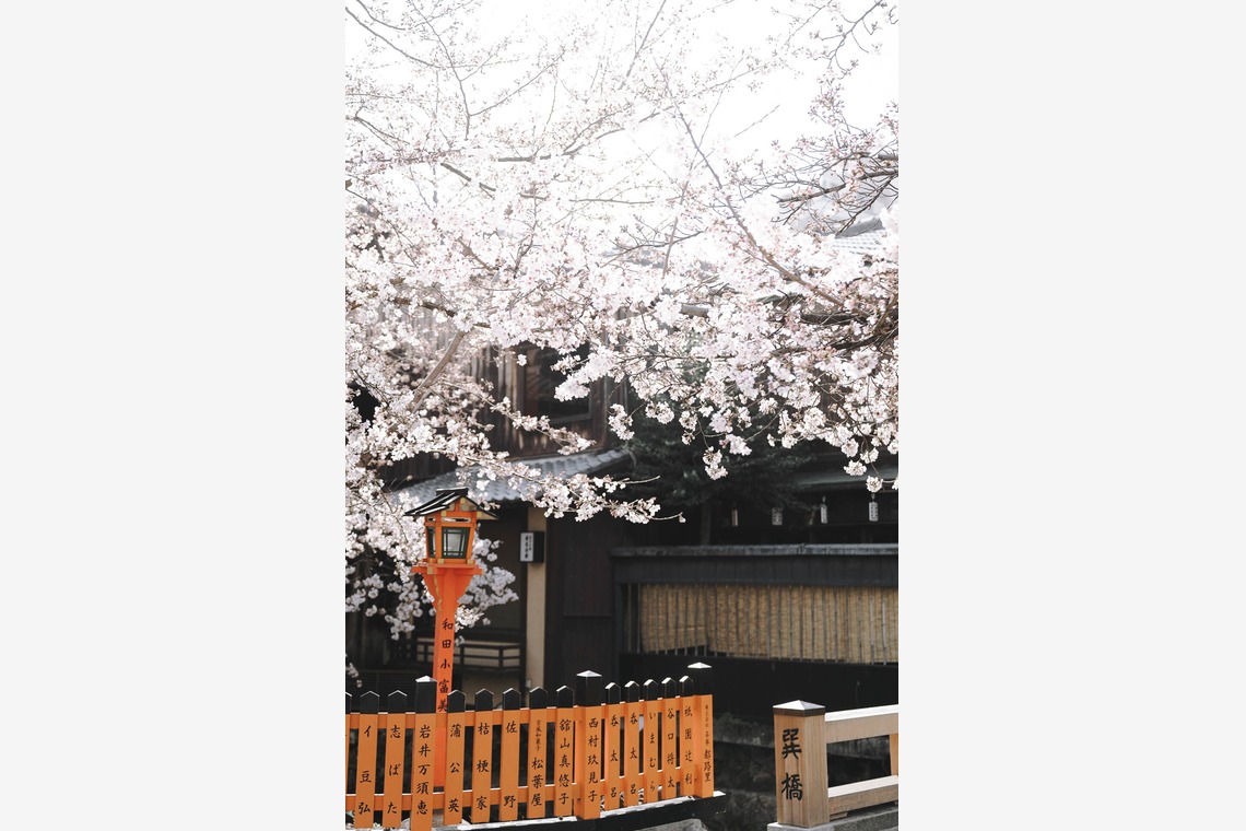 三谷 朋也が撮影した「日本の風景」の写真