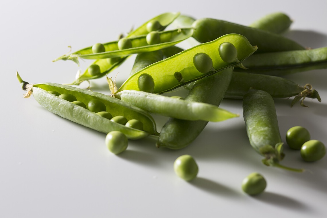 東谷　幸一が撮影した写真のアルバム「料理素材」