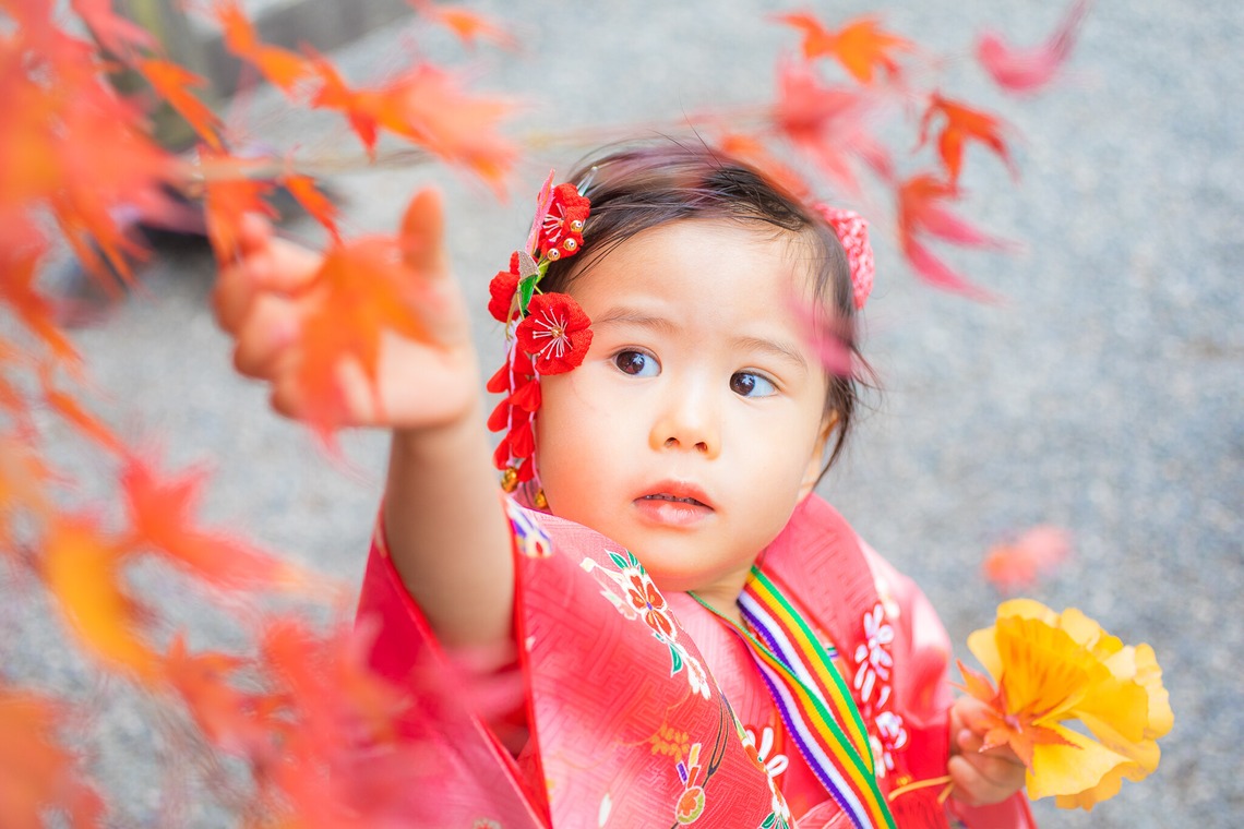 大森美紗生が撮影した写真のアルバム「武田神社(山梨県)での七五三ロケーションフォト」