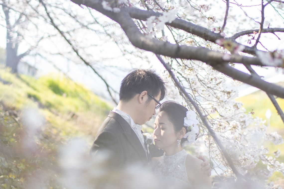 saruco(岩崎寿）が撮影した「京都和装前撮り＠桜」の写真