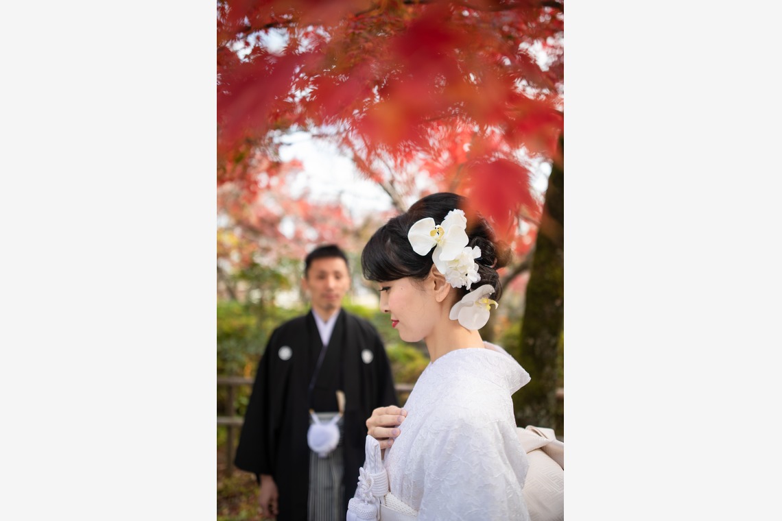 saruco(岩崎寿）が撮影した写真のアルバム「秋の和装前撮り」