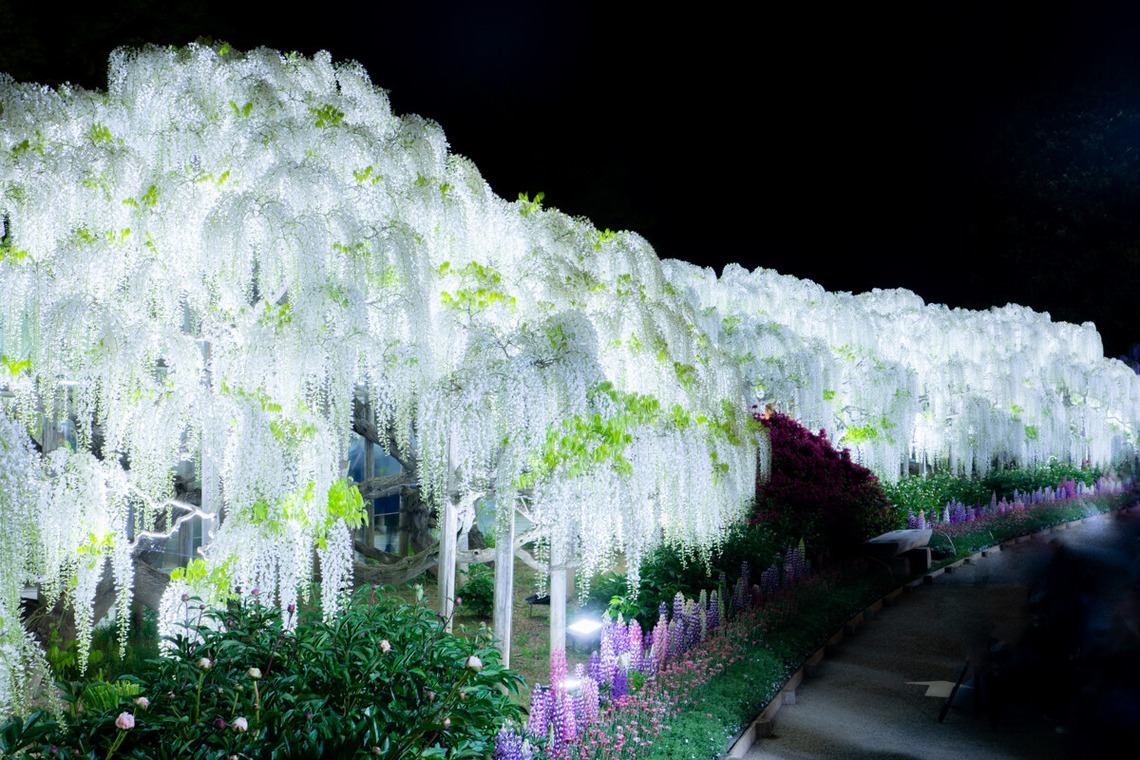 Create 4 Uが撮影した写真のアルバム「各種撮影」